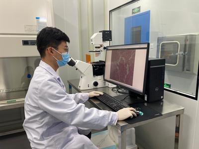 科技創新激活銅川高質量發展澎湃動力 新材料技術推廣服務